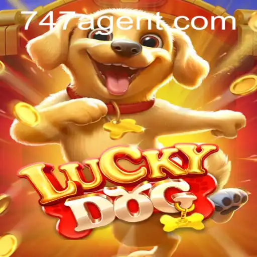 Dive Into the World of LuckyDog: An Intriguing Adventure with the 747 Agent