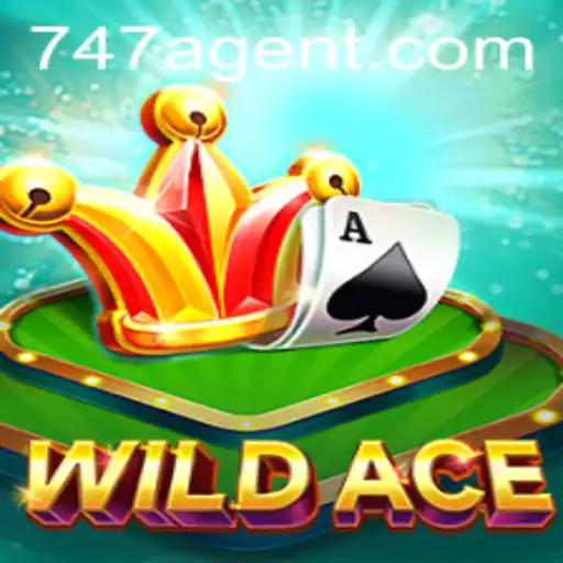 WildAce: Unleashing the Thrill of the 747 Agent
